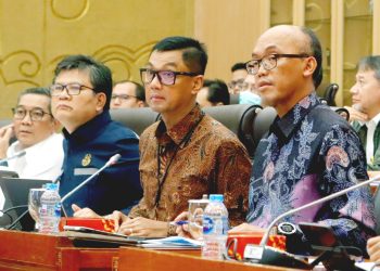Komisi VII DPR RI Apresiasi Upaya PLN Jalankan Langkah Dekabornisasi