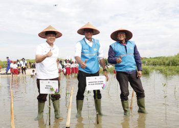 PLN Restorasi 308 Hektar Lahan Tandus Jadi Paru-Paru Baru