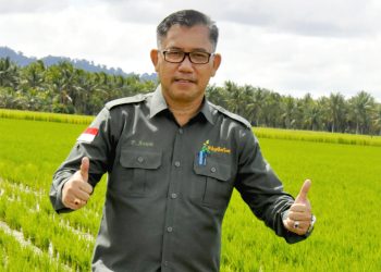 Luas Panen Padi di Kalbar Februari 2024 Diperkirakan 50.548 Hektar