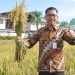 Pemprov Kalbar Target Produksi Padi 2024 Sebanyak 1,06 Juta Ton GKG