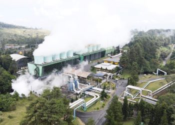 Pakai REC PLN, GBK Jadi Kompleks Olahraga dan Ruang Terbuka Hijau dengan Listrik 100 Persen EBT