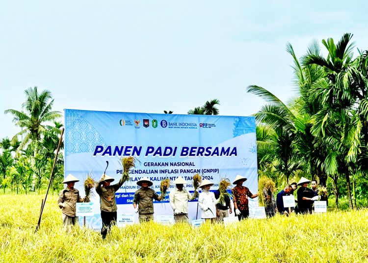 Kepala Perwakilan Bank Indonesia Provinsi Kalimantan Barat, Nur Asyura Anggini Sari bersama Pj Gubernur Kalbar, Harisson serta Forkopimda Kubu Raya saat panen raya padi Gapoktan Madiun Bersatu di Desa Parit Keladi Kecamatan Kakap, Kabupaten Kubu Raya, Minggu.(ist)