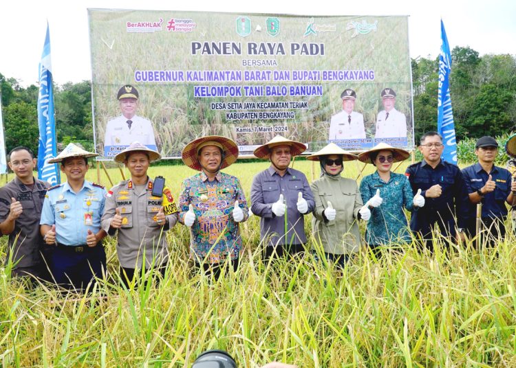 Panen raya padi di Kabupaten Bengkayang, Kalimantan Barat.(ist)
