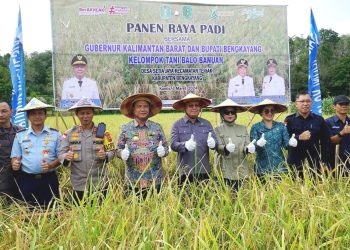 Penjabat Gubernur Kalbar Panen Raya Padi di Poktan Balo Banuan Bengkayang
