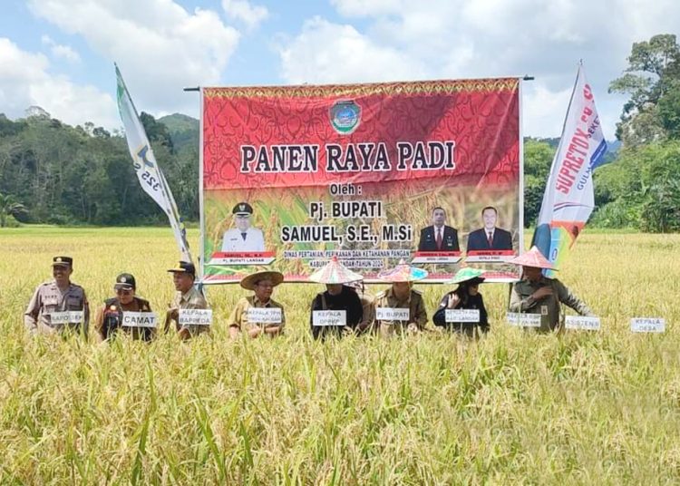 Panen Raya Padi Gabungan Kelompok Tani (Gapoktan) Angan Jaya Desa Angan Tembawang, Kecamatan Jelimpo Kabupaten Landak, Kalimantan Barat.(ist)