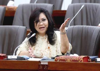 Komisi VI DPR RI Apresiasi Peningkatan Kinerja Keuangan PLN