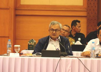 BPKP Minta Semua Pihak Berpartisipasi dalam Optimasi Lahan Rawa