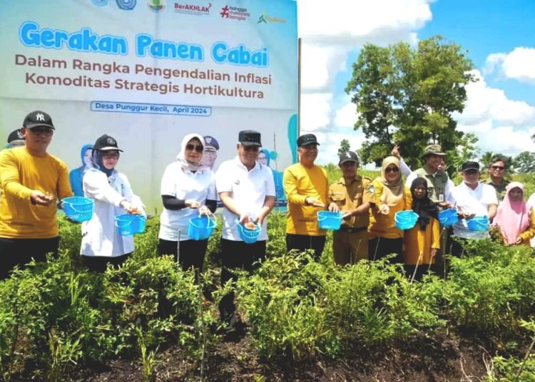 Gerakan panen raya dan tanam cabai di Desa Punggur Kecil, Kabupaten Kubu Raya, Kalbar, Selasa.(ist)