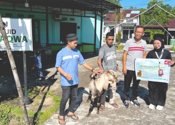 Asmo Kalbar Berbagi Hewan Kurban di Momentum Idul Adha 1445 H