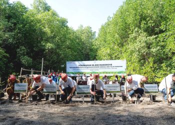 Peringati Hari Lingkungan Hidup Sedunia, Yayasan AHM Tanam Puluhan Ribu Mangrove