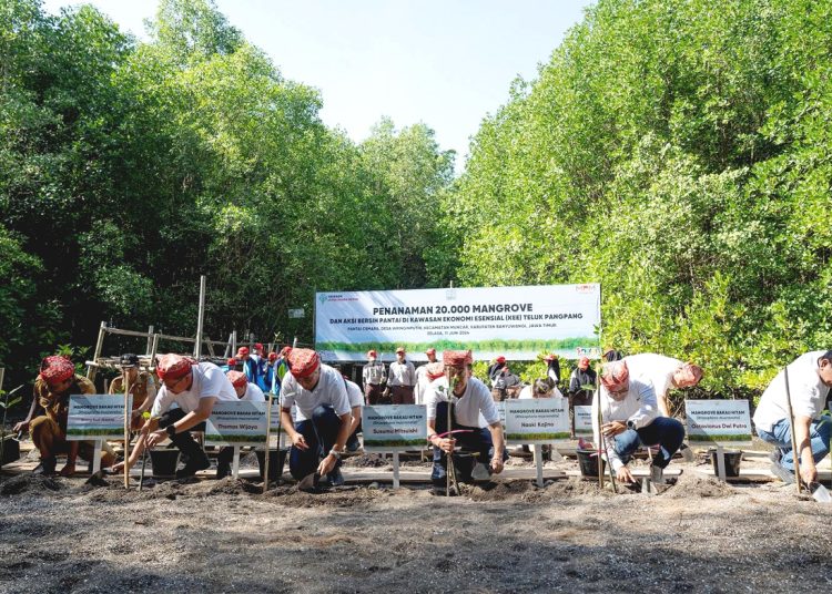 Kegiatan Yayasan AHM menanam 20 ribu mangrove di Kawasan Ekonomi Esensial (KEF) Teluk Pangpang Banyuwangi, Jawa Timur, Selasa.(ist)