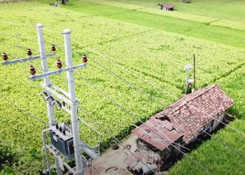 Sukses Menambah Pelanggan, Kunci Membaiknya Kinerja PLN 2023, Terbanyak dari Golongan Rumah Tangga