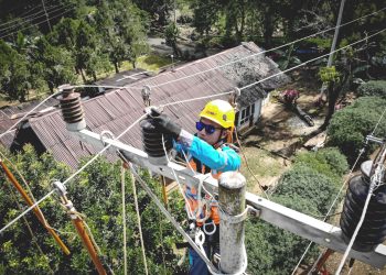 Amankan Listrik Selama Idul Adha, PLN Tetapkan Masa Siaga Tiga Hari
