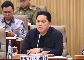 PLN Ajukan 3 Triliun PMN 2025 untuk Bangun Kelistrikan Daerah Terpencil