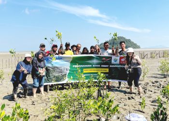 Hijaukan Bumi, Asmo Kalbar Tanam 1000 Mangrove