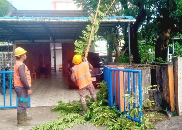 Petugas PLN sedang melakukan pemangkasan pohon di titik jarinngan yang dekat dengan rumah pelanggan.(ist)