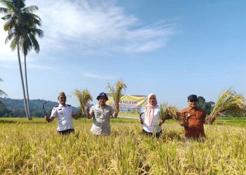 Penerapan SL BSM3 Poktan Badantar Sagatani Berhasil