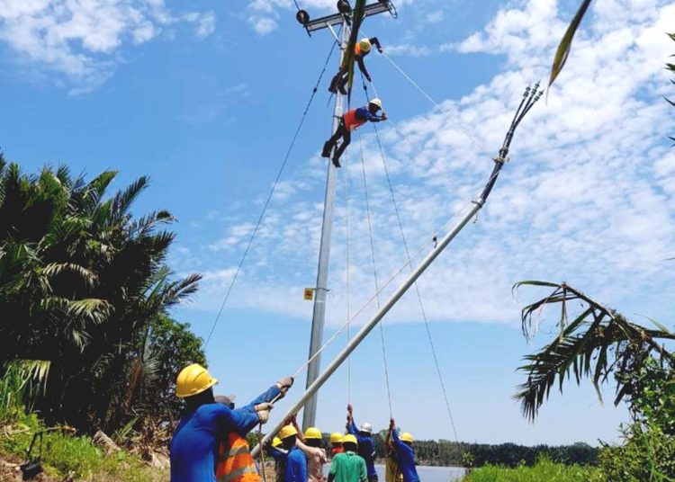 Petugas PLN bergotong-royong membangun jaringan listrik untuk menerangi desa-desa di Sintang, Kalimantan Barat.(ist)