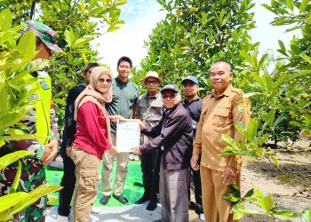 Kolibro – PLN UID Kalbar Sukses Gelar Pelatihan Budidaya Kopi Liberika untuk Petani Sendoyan