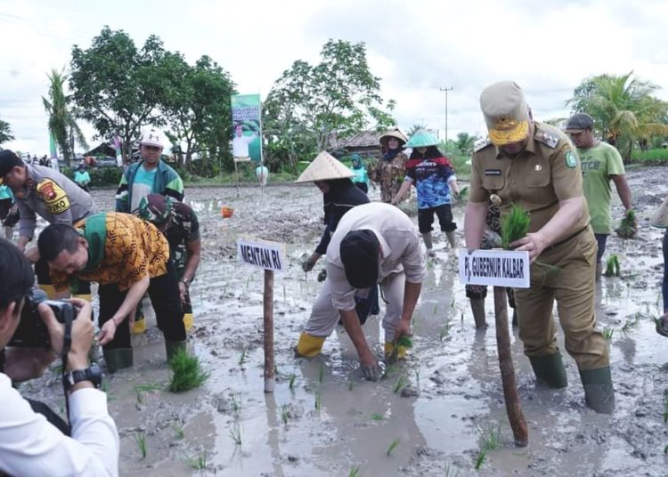 Kunjungan Mentan Andi Amran Sulaiman di Kabupaten Sambas, Kalbar, Kamis.(ist)