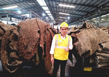 Petani Karet Perlu Jaga Kualitas Saat Harga Naik