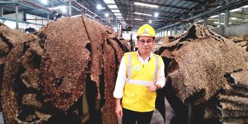 Petani Karet Perlu Jaga Kualitas Saat Harga Naik