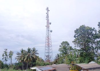 Indosat dan ZTE Perluas Pengalaman Digital di Indonesia