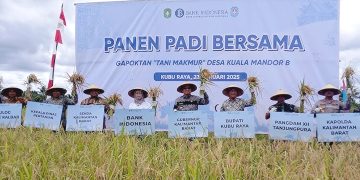 Gapoktan Tani Makmur Binaan BI Kalbar Panen Raya 490 Ton Padi