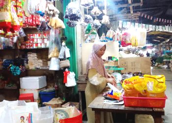 Kenaikan PPN 12 Persen Hanya Berlaku untuk Barang Mewah