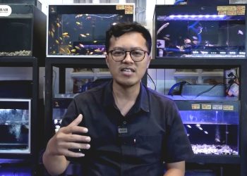 Bermitra dengan Bank Kalbar, Hobi Menjadi Rejeki