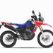 Hadirkan Sensasi Petualangan Baru, CRF250 Series Siap Jelajahi Indonesia