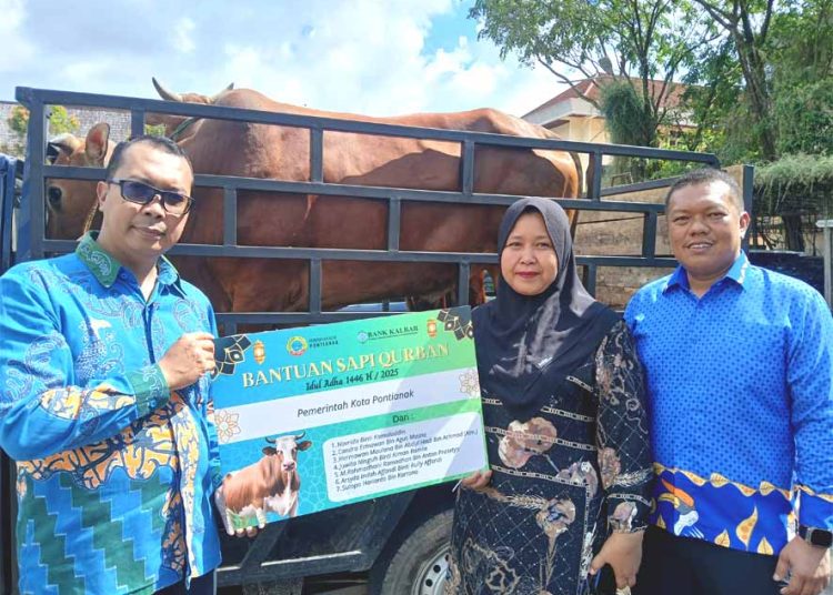 Penyerahan hewan kurban Bank Kalbar yang dibagikan merata di seluruh kabupaten/kota Provinsi Kalimantan Barat untuk masjid, surau serta pondok pesantren. (ist)