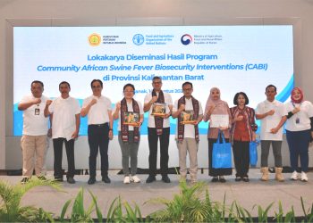 Kementerian Pertanian dan FAO Berhasil Atasi Demam Babi Afrika di Kalbar