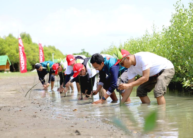 Karyawan PT Astra Honda Motor (AHM) yang tergabung dalam Synergy Creator Squad (SC Squad) sedang melakukan penanaman pohon mangrove di Kawasan Ekowisata Mangrove Tambaksari, Desa Tambaksari Kabupaten Karawang, Jawa Barat. (ist)
