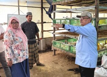 BPKP Temukan Progam MBG Mulai Tingkatkan Perekonomian
