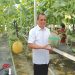Rektor Untan Panen Perdana Buah Melon