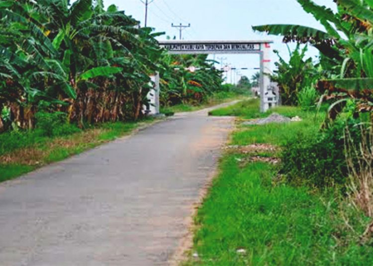 Desa Punggur Kecil Kecamatan Sungai Kakap, Kabupaten Kubu Raya, Kalimantan Barat yang diharapkan warga dimekarkan menjadi Desa Punggur Jaya.