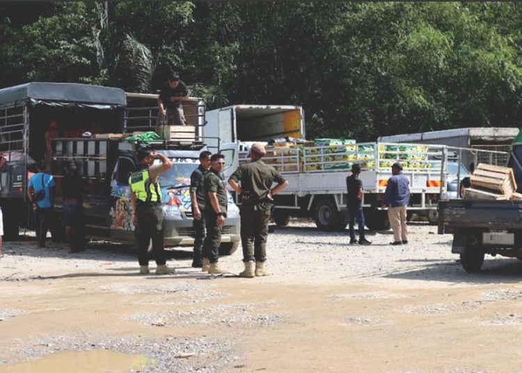 Kegiatan Patroli gabungan Indonesia dan Malaysia di lintas batas kawasan Jagoi Babang - Pasar Serikin perbatasan Indonesia mengamankan puluhan truk yang mengangkut spesies dilindungi. (ist)