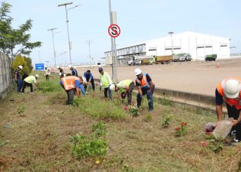 Pelindo Reg 2 Pontianak Tanam 500 Pohon, Dukung Program Pelabuhan Hijau