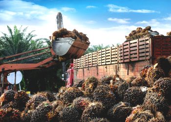 Sepanjang 2025, Polda Kalbar Catat 4.144 Laporan