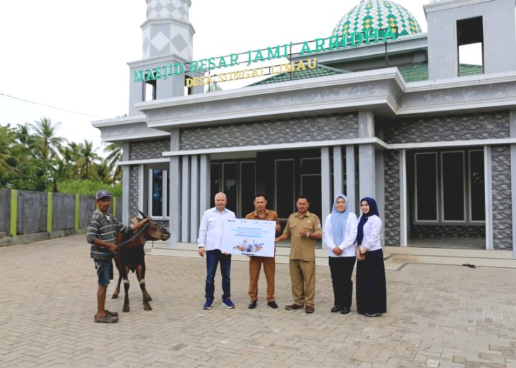 Menyambut Hari Raya Idul Adha 1447 Hijriah/2026, PT Pelabuhan Indonesia (Pelindo) Regional 2 Pontianak, menyalurkan puluhan hewan kurban kepada masyarakat di berbagai wilayah Kalimantan Barat. (ist)