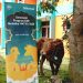 Telkomsel Salurkan Hewan Kurban Idul Adha 1447 H