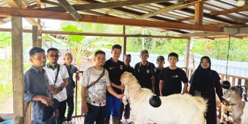 Koperasi Srikandi Jaya Sambas Kembangkan Sistem Pertanian Integrasi Lada, Kopi dan Kambing
