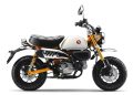 Dapat Sentuhan Baru, Honda Monkey Makin Ikonik dan Tampil Beda